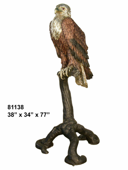 American Eagle Perched on a Branch American Eagle Perched on a Branch