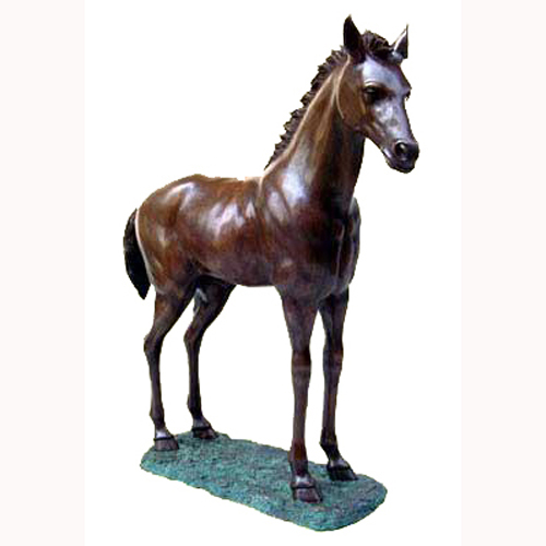 Bronze Foal Bronze Foal
