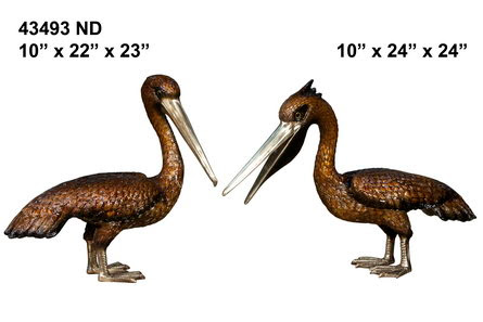 Pelicans 24" Pelicans 24"